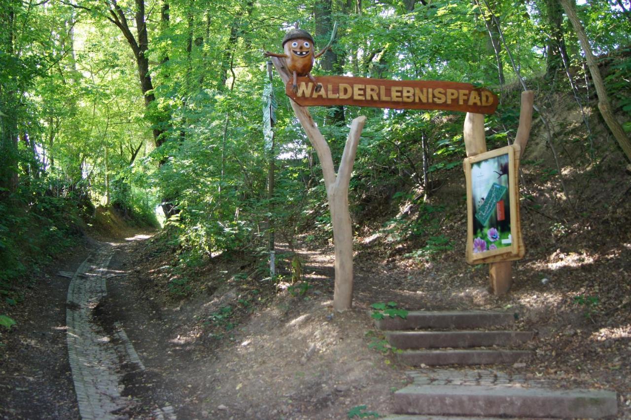 Quellenhaus Feengrotten Saalfeld Saale Екстериор снимка